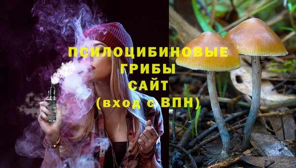 соль ск Алексин