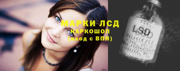 соль ск Алексин