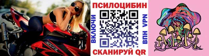 закладки  Иннополис  Псилоцибиновые грибы Magic Shrooms 